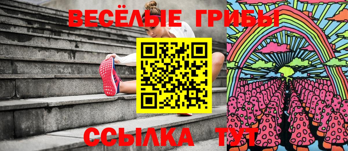 Галлюциногенные грибы Psilocybe Кизилюрт