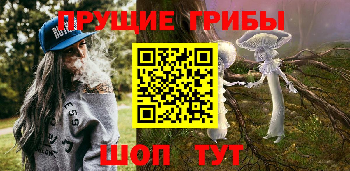 продажа наркотиков  Галлюциногенные грибы Psilocybe  Галлюциногенные грибы ЛСД  Вход с VPN  Кизилюрт 